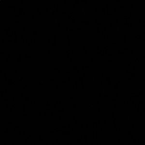 Meet your Posher, Ronnette